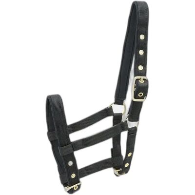 Nylon Halfter für Pferde Kieffer Noir Foal Nylon Halfter für Pferde Kieffer Noir Foal
