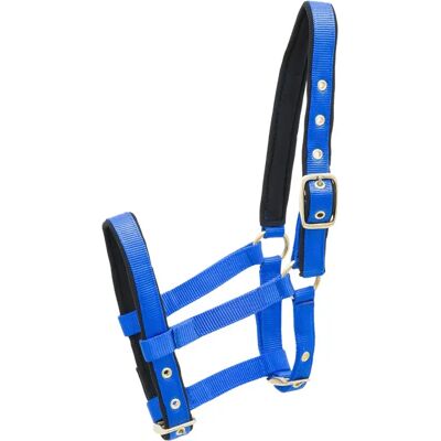 Nylon Halfter für Pferde Kieffer Bleu Foal Nylon Halfter für Pferde Kieffer Bleu Foal