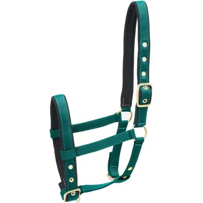 Nylon Halfter für Pferde Kieffer Vert Foal Nylon Halfter für Pferde Kieffer Vert Foal