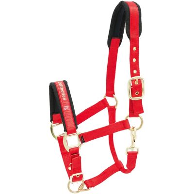 KIEFFER Collection Nylon Pferdehalsung - Verstellbar & Weiches Polster KIEFFER Collection Nylon Pferdehalsung - Verstellbar & Weiches Polster