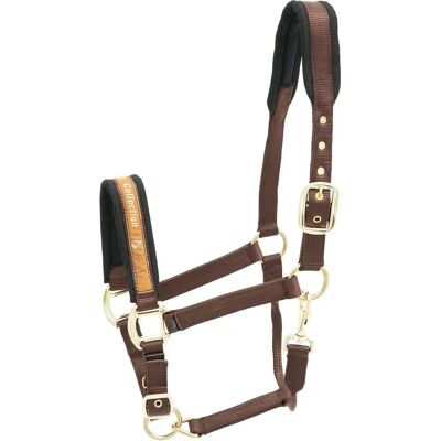 Halfter Kieffer Collection Marron Cob Halfter Kieffer Collection Marron Cob