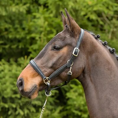 Halfter aus Leder Kieffer Ultrasoft® Noir Extra Full Halfter aus Leder Kieffer Ultrasoft® Noir Extra Full