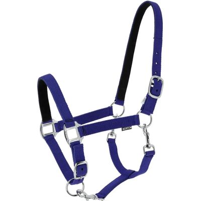 Halfter für Pferd Norton Dream Bleu Cob Halfter für Pferd Norton Dream Bleu Cob