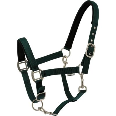 Halfter für Pferd Norton Nacre Vert Cob Halfter für Pferd Norton Nacre Vert Cob