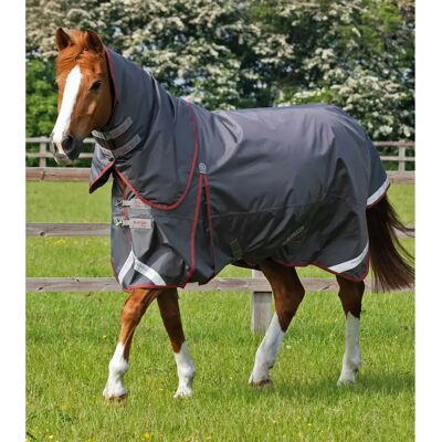 Wasserdichte Outdoor-Decke mit Halsteil Premier Equine Buster 150 g Gris 221 cm Wasserdichte Outdoor-Decke mit Halsteil Premier Equine Buster 150 g Gris 221 cm