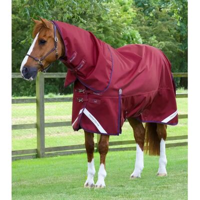 PREMIER EQUINE Titan 50 g Pferdedecke mit abnehmbarem Nackenschutz PREMIER EQUINE Titan 50 g Pferdedecke mit abnehmbarem Nackenschutz