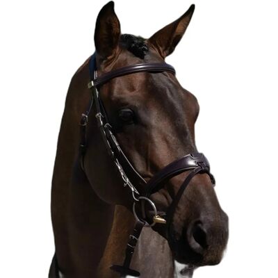 Reittrense Premier Equine Artana Marron XFull Reittrense Premier Equine Artana Marron XFull