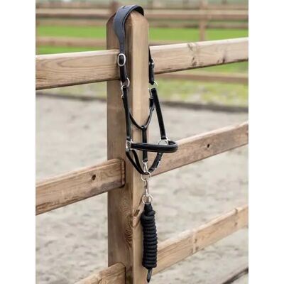 Halfter für Pferd PS of Sweden Noir Cob Halfter für Pferd PS of Sweden Noir Cob