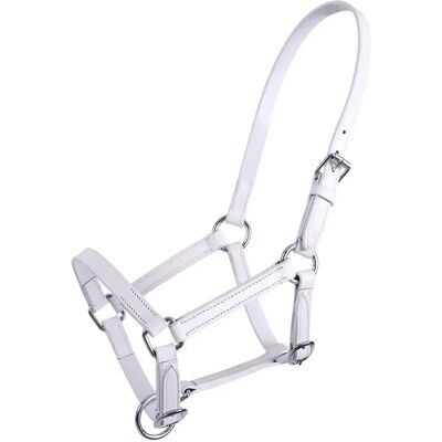 QHP Chico Leder Fohlenhalfter - Pony Kopfstück QHP Chico Leder Fohlenhalfter - Pony Kopfstück