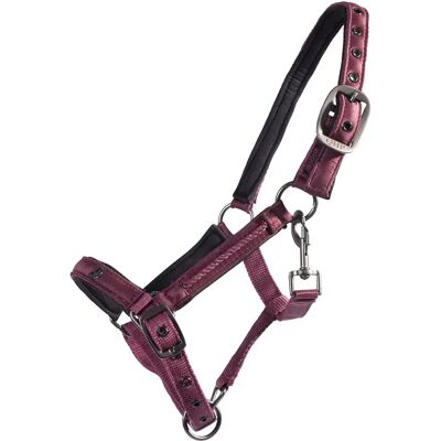 Fohlenhalfter QHP Lily Rouge Poney Fohlenhalfter QHP Lily Rouge Poney