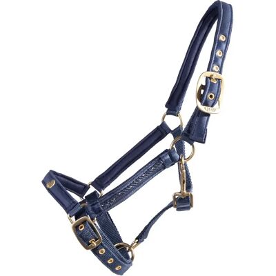 Fohlenhalfter QHP Lily Bleu Poney Fohlenhalfter QHP Lily Bleu Poney