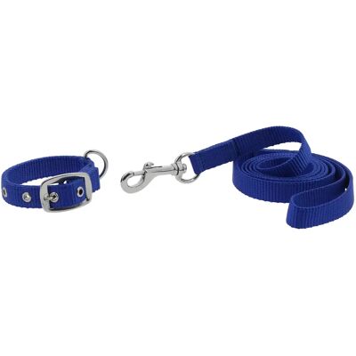 Hundehalsband und Leine Riding World Oscar Bleu 40 cm Hundehalsband und Leine Riding World Oscar Bleu 40 cm