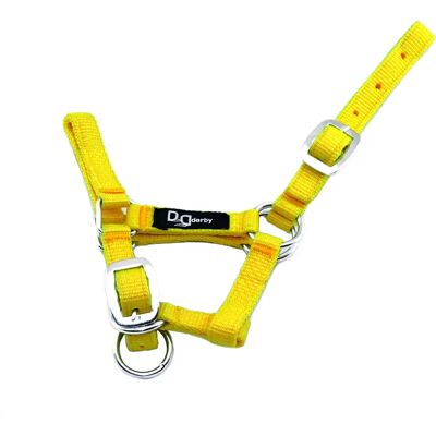 Doppelt verstellbares Halfter für Fohlen Supreme Jaune Shetland XS Doppelt verstellbares Halfter für Fohlen Supreme Jaune Shetland XS