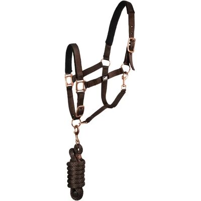 Set aus Halfter und Longiergurt für Pferde Supreme Marron Cob Set aus Halfter und Longiergurt für Pferde Supreme Marron Cob
