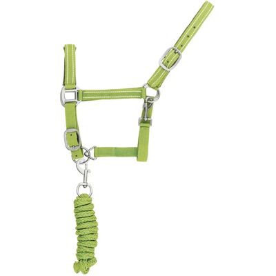 Reflektierendes Nylonhalfter und Führstrick für Pferde Supreme Vert Cob Reflektierendes Nylonhalfter und Führstrick für Pferde Supreme Vert Cob