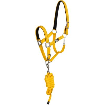 Set aus Halfter und Longiergurt für Pferde Supreme Reflective Jaune Cob Set aus Halfter und Longiergurt für Pferde Supreme Reflective Jaune Cob