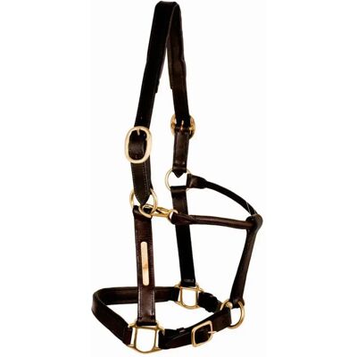 Halfter aus Leder Tattini Marron Poney Halfter aus Leder Tattini Marron Poney