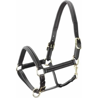 TATTINI Pferdezaumzeug - Vegetal gegerbtes Leder, Doppelt gekrümmte Polsterung, Metallabzeichen TATTINI Pferdezaumzeug - Vegetal gegerbtes Leder, Doppelt gekrümmte Polsterung, Metallabzeichen