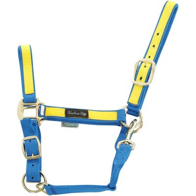 Bunt nylon Halfter für Pferde Umbria Equitazione Bleu Full Bunt nylon Halfter für Pferde Umbria Equitazione Bleu Full
