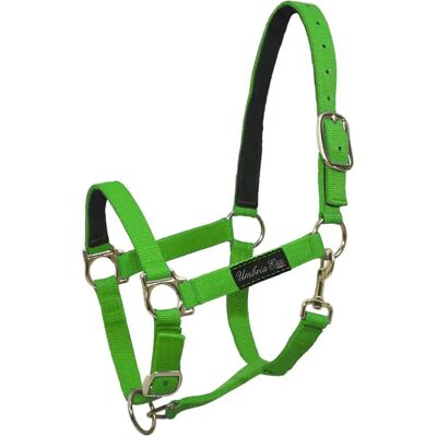 Nylonhalfter für Pferde mit Lederverstärkung Umbria Equitazione Vert Cob Nylonhalfter für Pferde mit Lederverstärkung Umbria Equitazione Vert Cob