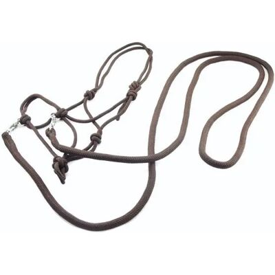 Halfter für Pferde mit Zügeln Umbria Equitazione Marron TU Halfter für Pferde mit Zügeln Umbria Equitazione Marron TU