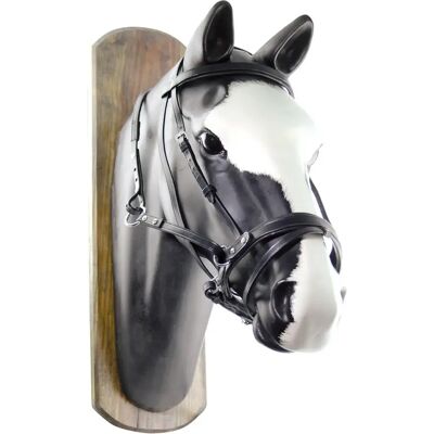Lederreitzaum für Pferde Umbria Equitazione Noir Full Lederreitzaum für Pferde Umbria Equitazione Noir Full