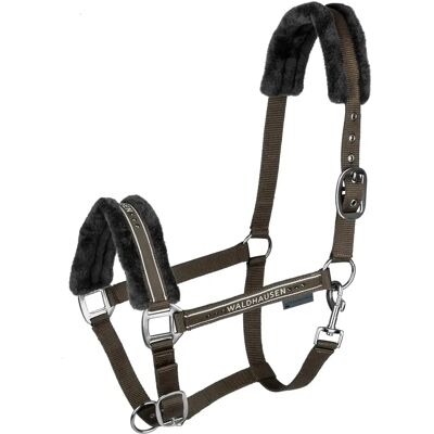 Halfter für Pferd Waldhausen Elegant Marron Poney Halfter für Pferd Waldhausen Elegant Marron Poney