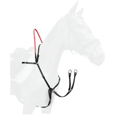 Pferdehalfter mit Sicherheitszügel Waldhausen Secutrust Noir Poney Pferdehalfter mit Sicherheitszügel Waldhausen Secutrust Noir Poney