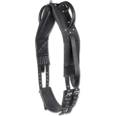 Synthetischer Voltigiergurt für Pferde Waldhausen Noir Full Synthetischer Voltigiergurt für Pferde Waldhausen Noir Full