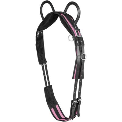 Pferde-Surfaix mit zwei Griffen Waldhausen Noir Poney Pferde-Surfaix mit zwei Griffen Waldhausen Noir Poney