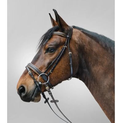 Waldhausen - Star Bridle Diamond Suitset - Braun/Gull - Reithalfter Waldhausen - Star Bridle Diamond Suitset - Braun/Gull - Reithalfter