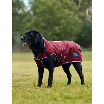 Hundemantel Weatherbeeta Comfitec Premier Deluxe Rouge 70 cm Hundemantel Weatherbeeta Comfitec Premier Deluxe Rouge 70 cm