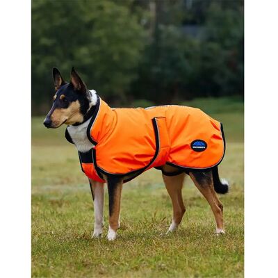 Hundemantel Weatherbeeta Comfitec Reflective Deluxe 300D Orange 50 cm Hundemantel Weatherbeeta Comfitec Reflective Deluxe 300D Orange 50 cm