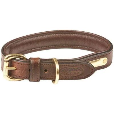 Gepolstertes Hundehalsband aus Leder Weatherbeeta Marron S Gepolstertes Hundehalsband aus Leder Weatherbeeta Marron S