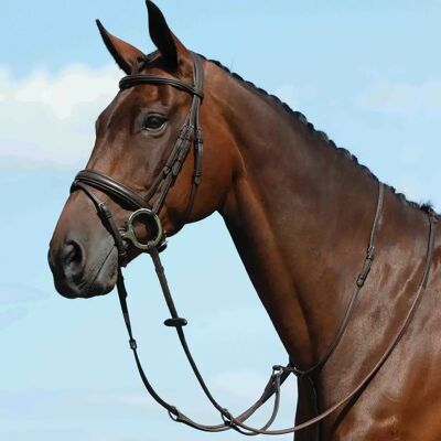 Collegiate Syntovia Plain Running Martingale - Warmblood Collegiate Syntovia Plain Running Martingale - Warmblood