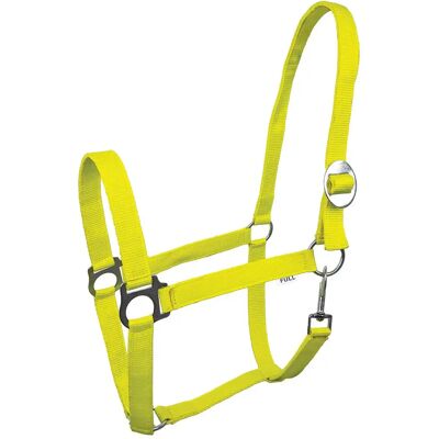 Halfter für Pferd York Lita Vert Cob Halfter für Pferd York Lita Vert Cob