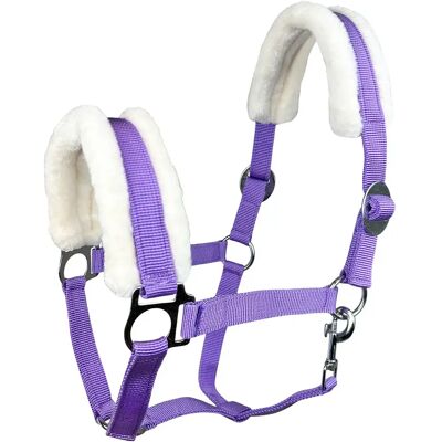Halfter für Pferd York Sophia Violet Cob Halfter für Pferd York Sophia Violet Cob