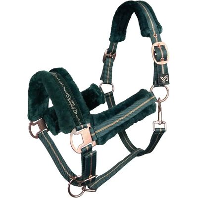 Halfter für Pferd York Lira Vert Cob Halfter für Pferd York Lira Vert Cob