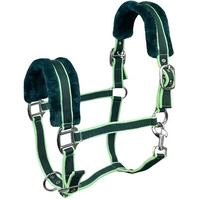 Halfter für Pferde aus Fell York Benny Vert Cob Halfter für Pferde aus Fell York Benny Vert Cob
