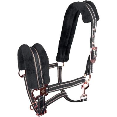 Halfter für Pferd York Gold Star Noir Cob Halfter für Pferd York Gold Star Noir Cob