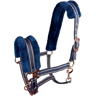 Halfter für Pferd York Gold Star Bleu Cob Halfter für Pferd York Gold Star Bleu Cob