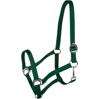 Halfter für Pferd York Harmony Vert Cob Halfter für Pferd York Harmony Vert Cob