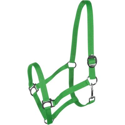 Halfter für Pferd York Harmony Vert Cob Halfter für Pferd York Harmony Vert Cob