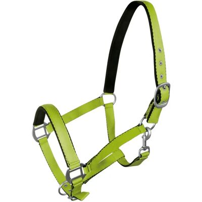 Halfter für Pferd York Vert Cob Halfter für Pferd York Vert Cob