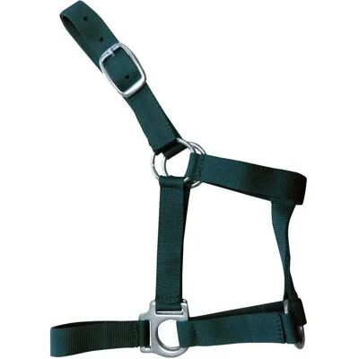 Reittrensen für Pferde Zaldi O278 Vert Cob Reittrensen für Pferde Zaldi O278 Vert Cob