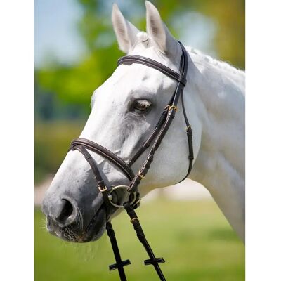 Kopfstütze frontal-licol kosten weiß Tattini Schwarz Pony Kopfstütze frontal-licol kosten weiß Tattini Schwarz Pony