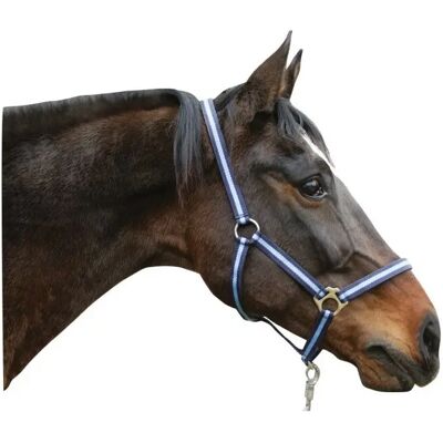 Nylon-Pony-Halfter Kerbl hippo Blau Pony Nylon-Pony-Halfter Kerbl hippo Blau Pony