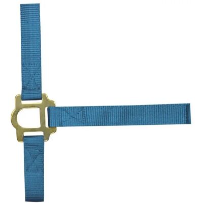 Halfter mit Schnallenverschlüssen für Pferde Norton Blau Vollblut Halfter mit Schnallenverschlüssen für Pferde Norton Blau Vollblut