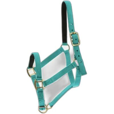 Symantec NORTON Türkis Nylon Leder Pferdehalfter - Horse Headgear Symantec NORTON Türkis Nylon Leder Pferdehalfter - Horse Headgear