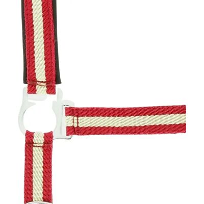 Halfter Norton Rot Pferd Halfter Norton Rot Pferd